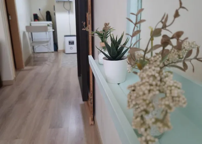 Couette-café Quebra Costas Torres Vedras